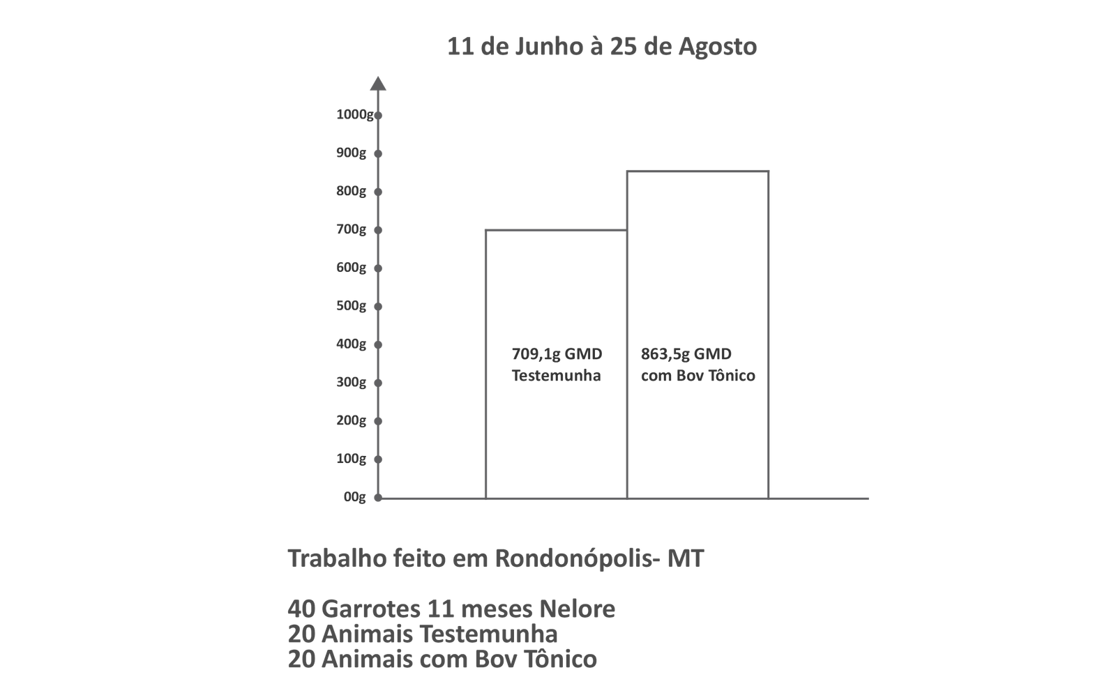 Bov Tônico Gráfico