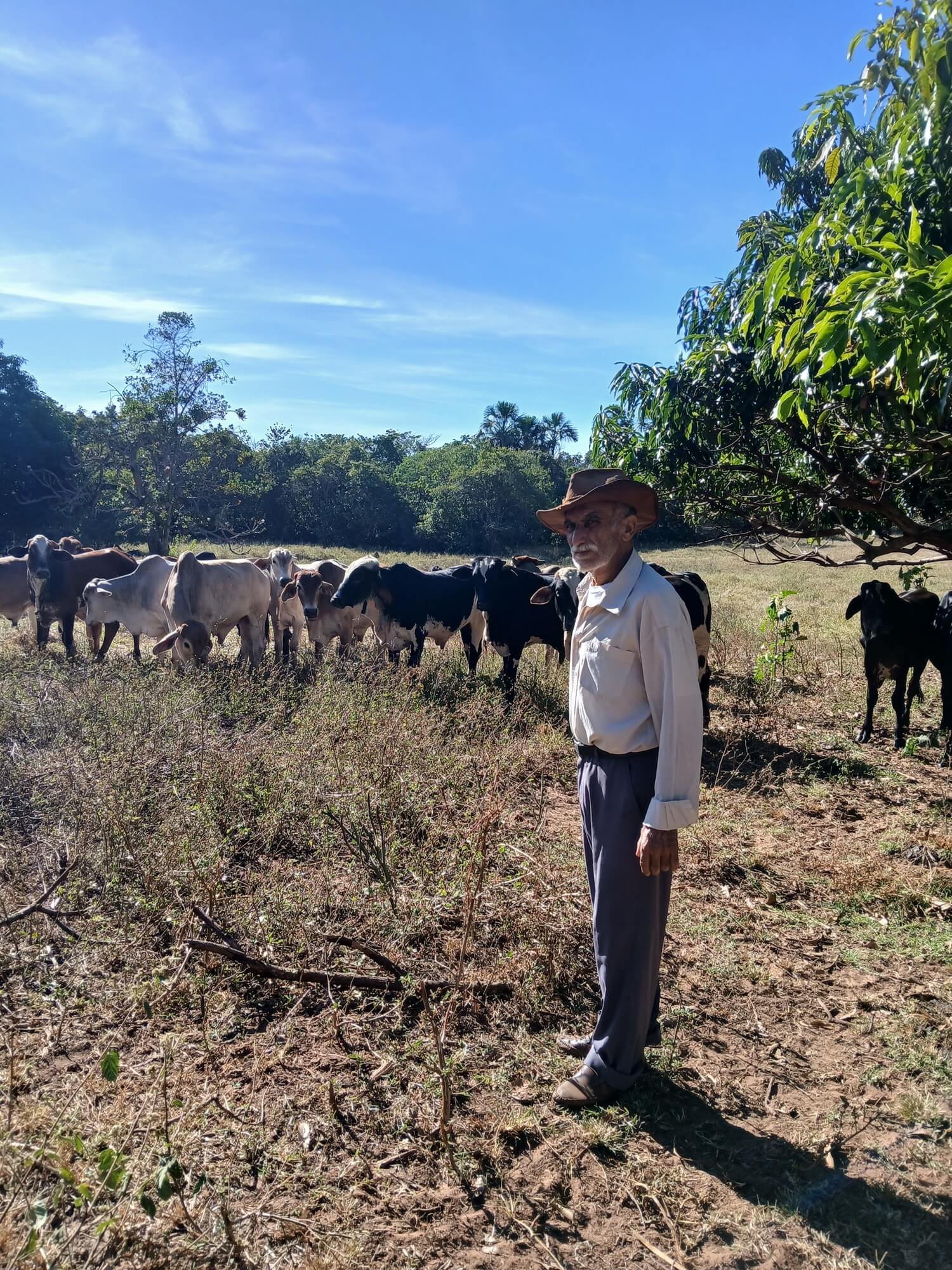 João Francisco Alves Paz