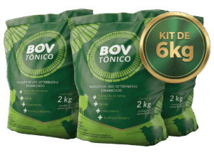 Bovtonico Kit Promocional 6kg